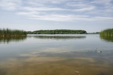 Gökyüzünü yansıtan temiz suyla sakin göl manzarası ve sazlıklar ve ağaçlarla çevrili yeşillik, açık havada huzurlu bir atmosferi çağrıştırıyor.