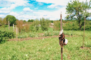 Bahçedeki ahşap bir direğe asılmış giyilmiş ayakkabılar, yemyeşil ve parlak mavi gökyüzü ile çevrili, huzurlu bir atmosferi çağrıştırıyor.