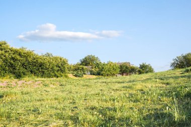 Geniş yeşil çayır, berrak mavi gökyüzünün altında canlı çimenler ve yumuşak tepeler barındırıyor, huzurlu ve sakin bir açık hava manzarası yaratıyor.