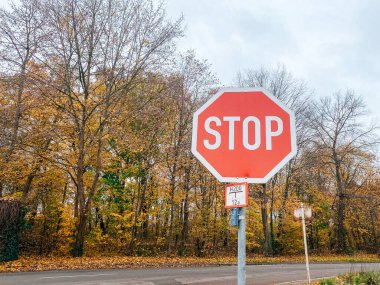 Yol kenarındaki dur tabelası, renkli sonbahar yapraklarıyla çerçevelenmiş, manzarada çarpıcı bir kontrastlık yaratıyor, yol güvenliği ve farkındalığı vurguluyor