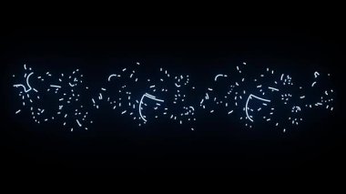 Çiçek animasyonu videosu ve lüks çiçek tasarımı, 