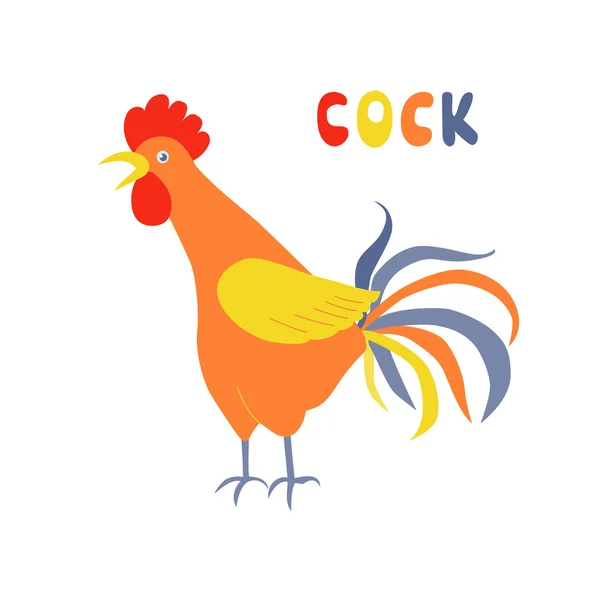 Lindo gallo sobre un fondo blanco . — Vector de stock