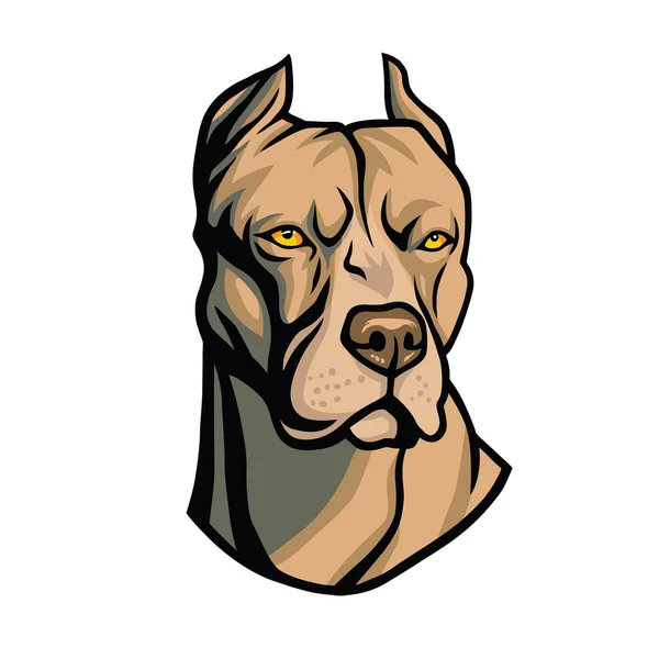 Vektor Pitbull Head — Stockový vektor