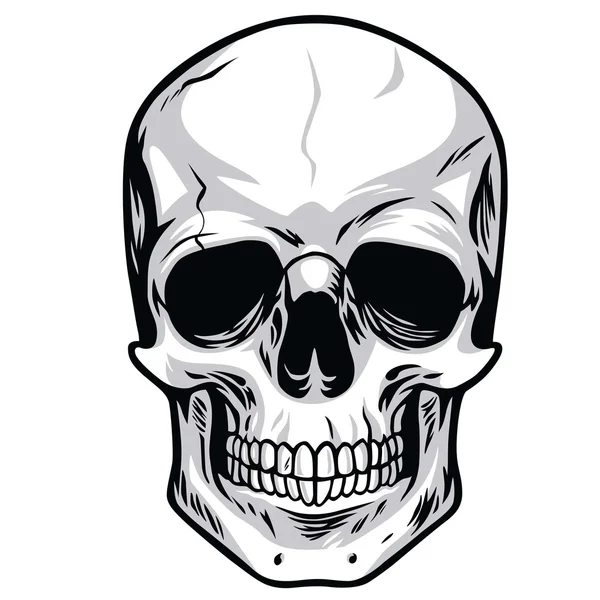 Ilustración del vector cráneo — Vector de stock