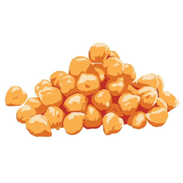 Nohut vektörel Clipart