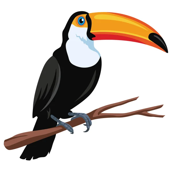 Toucan fågel vektor — Stock vektor