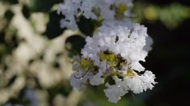 Nehir kenarında fırtına bulutları, nehir kenarında karanlık bulutlar toplanıyor, rüzgarlar huzursuz dalgalara karışıyor, dramatik bir doğa videosu ya da manzara için mükemmel..