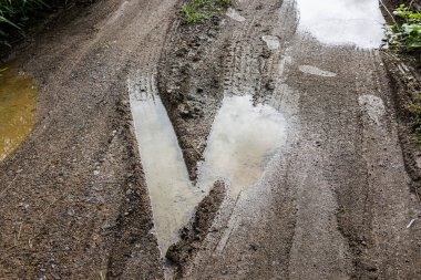 Islak Çakıl Yolu Yağmurdan Sonra Çimenli, nemli çakıl yolu kenarları boyunca çimlerle kaplı, suyu yansıtan yumuşak ışık, manzara görüntüsü veya yağmurlu sakin bir ekran için ideal.