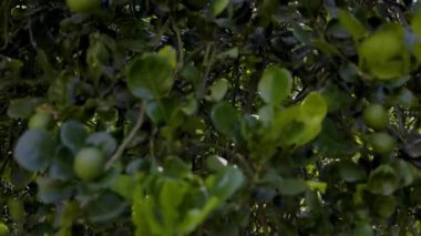 Beton Duvarın Kapanışı, Reklam ve beton sahne duvar kağıdı arka planı.