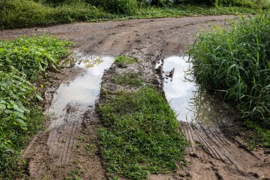Yağmur Sonrası Çimenli Islak Çakıl Yolu, yağmurdan sonra yemyeşil çimlerle kaplı kasvetli bir çakıl yolu reklamı, seyahat kampanyası veya kırsal belgesel için mükemmel..