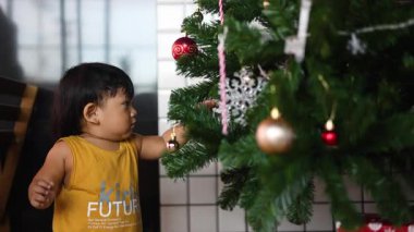 Meraklı Çocuk Neşeli Noel Ağacı 'nı Keşfediyor, aydınlık ağaçtaki parlak mücevherlere dokunan genç kaşifin samimi bir belgeseli, çocukluk zevki ve büyülü gelenek gösterisi için ideal.