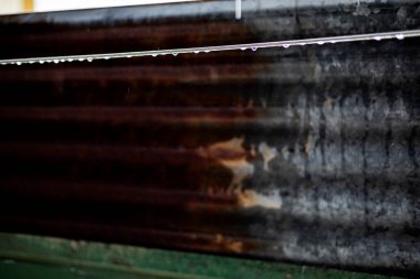 Yağmur damlaları Arka Bahçe Çamaşır Hattına Yapışır, arka bahçedeki çamaşır ipine yapışmış yağmur damlalarının şiirsel bir fotoğrafı, ev yıkama kampanyası için mükemmel bir yer ya da dingin yağmur belgeseli.