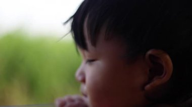 Yaz Zamanı Gece Fantezi Ağacı, gece parlayan bir ormanın nefes kesici 3 boyutlu hareketi ritmik titreşimli ışıkları yaratıcı sanat, fantezi belgeseli ve parti görsel içeriği için mükemmel..