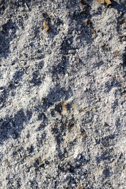 Kömürleşmiş Ağaç Külü Kalıntıları, kömürleşmiş ağaç külünün çarpıcı ve dramatik bir fotoğrafı ateşin çevresel, doğa belgeseli ve korunması için uygun yıkıcı etkisini yansıtıyor..