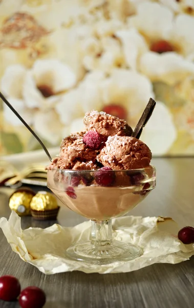 Ev yapımı çikolatalı dondurma — Stok fotoğraf