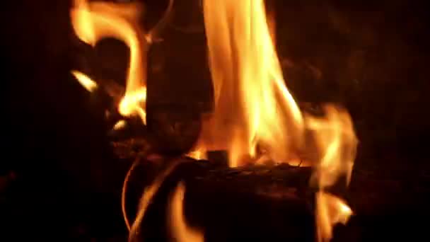 Wood burning in a campfire — Stock Video