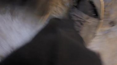 parçalanmış bir ayakkabı ile bacak
