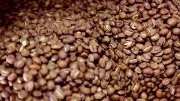 Kaffeebohnen rösten. — Stockvideo