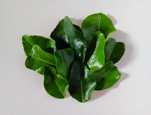 Beyaz arka planda izole edilmiş Güneydoğu Asya mutfağında kaffir limonu, makrut limonu veya Tayland limonu yaprakları olarak da bilinen Citrus hystrix yaprakları yığını bir malzeme olarak kullanılır..