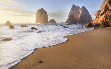 altın kum büyük ayı plaj