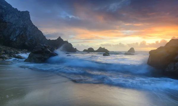 Sahilde büyük ayı büyüleyici gün batımı