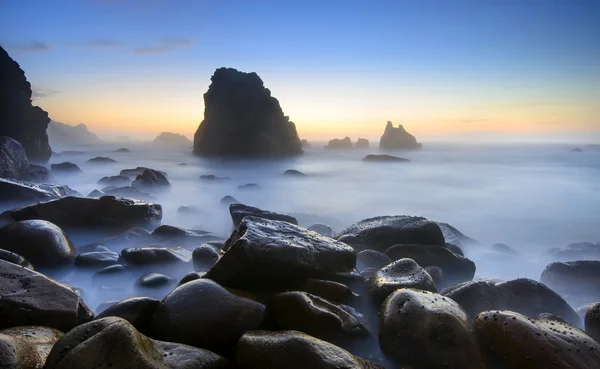 sessiz ve rahat plaj büyük ayı