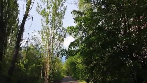 Pripyat. Calle. Steadicam . — Vídeo de stock