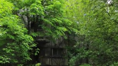 Pripyat. Yüzme Havuzu 2. Steadicam.