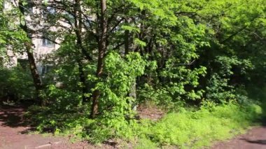 Pripyat. Hastaneye geçiş. Steadicam