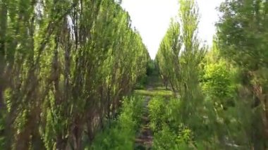 Çernobil, pripyat, Kurchatov street, helikopter