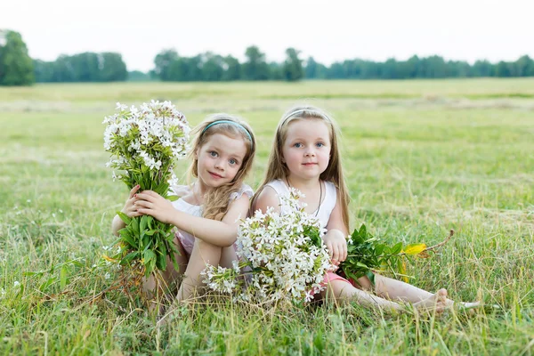 在草地上的两个漂亮女友 — 图库照片