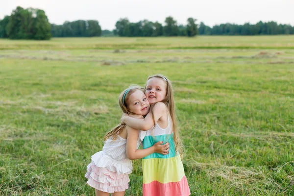 Two beautiful girlfriends on the meadow — Stock Photo, Image