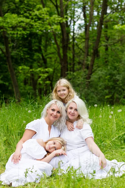 Família feliz descansando sobre a natureza no verão — Fotografia de Stock