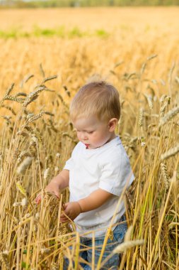Çocuk çavdar alanındaki