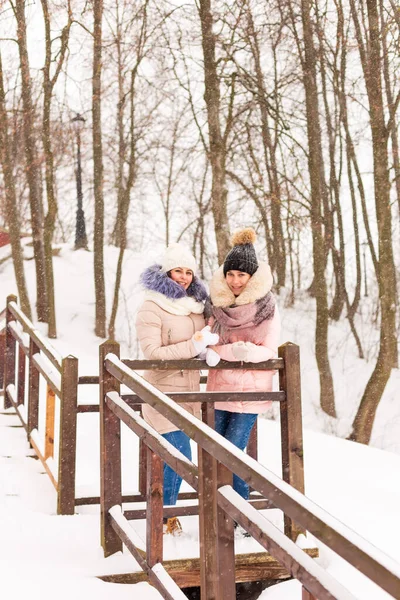 Two girls are walking in a winter park in the snow. — Stock Photo, Image