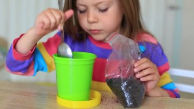 Kız eve tohum ekiyor.