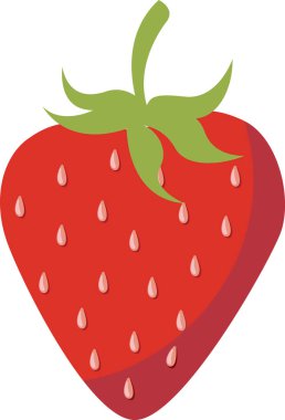 Çilek meyveleri, yeşil meyveler, çilek dilimleri, meyve örnekleri, olgun çilek, tüm çilek.