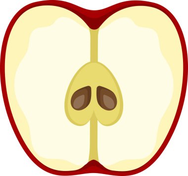 Elma meyveleri, yeşil meyveler, elma dilimleri, meyve çizimleri, olgun elma, bütün elma.