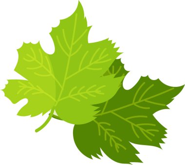 Yeşil Yaprak simgesi, Ağaç Yaprağı simgesi, doğa işareti, Yaprak simgesi, Doğal işaret, vejetaryen sembolü, üzüm yaprağı