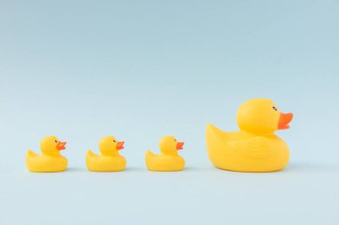 Mavi pastel arka planda liderlerini takip eden bir grup lastik ördek. Takım çalışması, liderlik, rehberlik, aileyi ve birliği simgeleyen asgari konsept.
