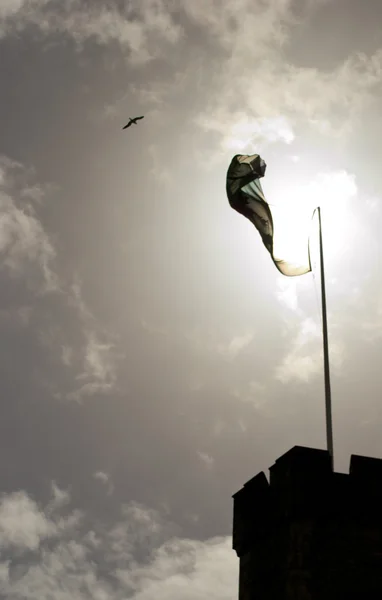 Verlichte vlag met vogel — Stockfoto