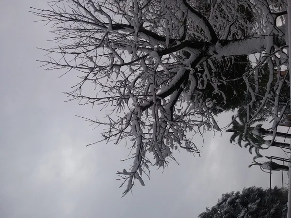 Snow in Rome — Stock Photo, Image