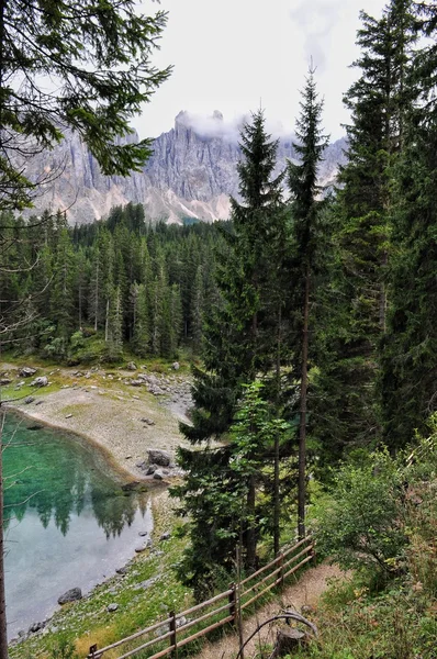 Carezza lake with trees — Stock Photo, Image