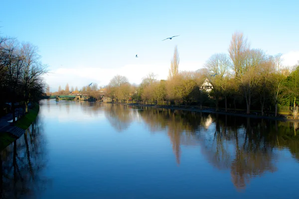 York Park