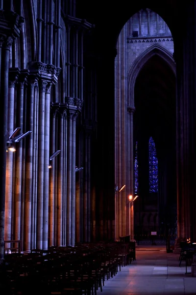 Notre-Dame ' ı n nave