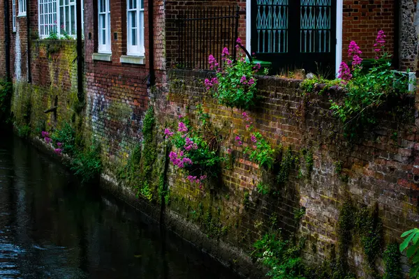 Canterbury 'deki Büyük Hikaye