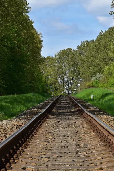 Eisenbahnschienen, die am Horizont verschwinden, um die Bäume herum. in der Höhe fotografiert — Stockfoto