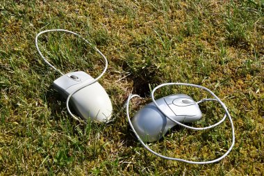 Çim ve fare deliği are dahil içinde yatan iki bilgisayar fare.