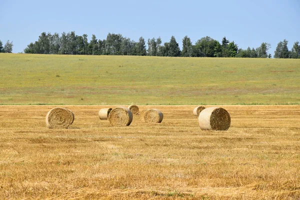 Golden sunset over farm field with hay bales — Stock Photo, Image