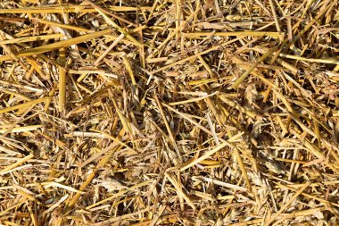 Harman saman. Saman, arka plan, doku